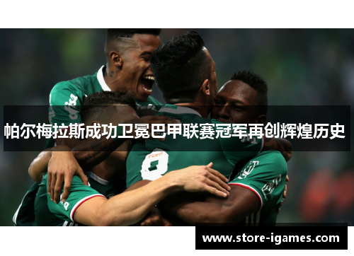 帕尔梅拉斯成功卫冕巴甲联赛冠军再创辉煌历史 帕尔梅拉斯成功卫冕巴甲联赛冠军再创辉煌历史