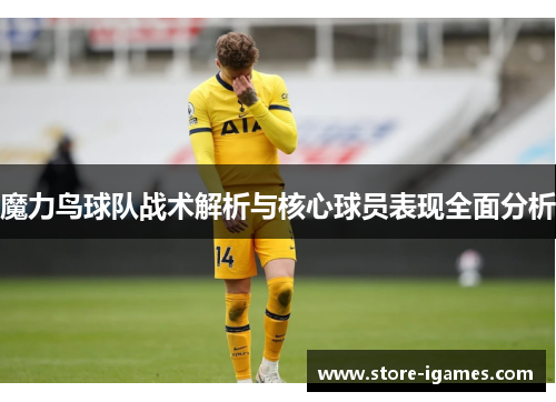 魔力鸟球队战术解析与核心球员表现全面分析
